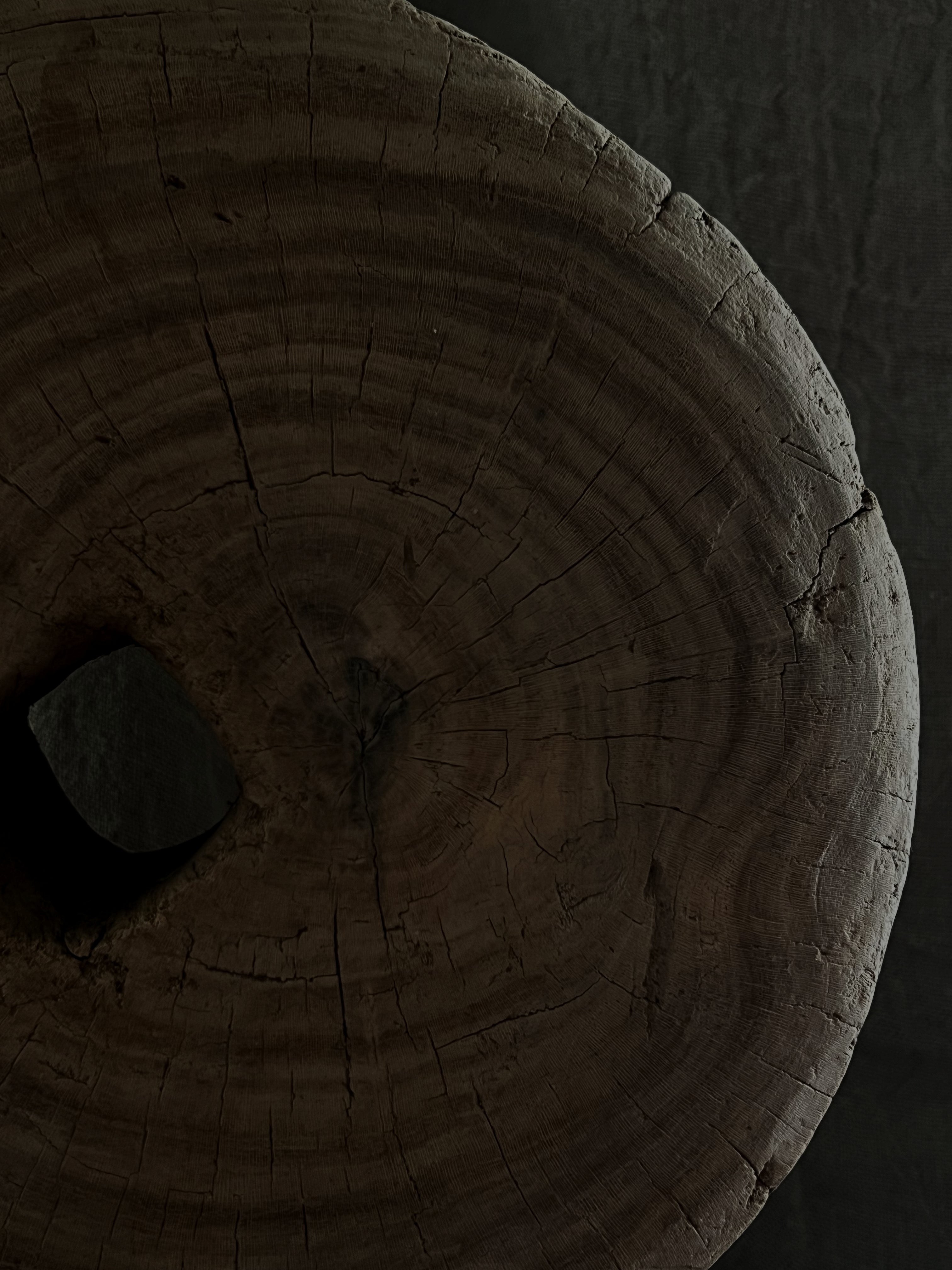 Bois sculptural - Ø36cm